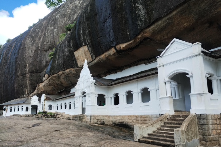 Negombo: Jednodniowa wycieczka; Dambulla, safari na słoniach i wioska