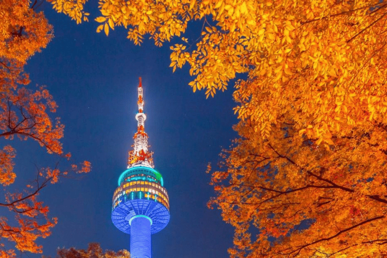 N Seoul Tower toegangsbewijs &amp; n.GRILL Restaurant ComboMenu met twee gangen (voor 2/weekenddiner deel 1 17:00-19:30)