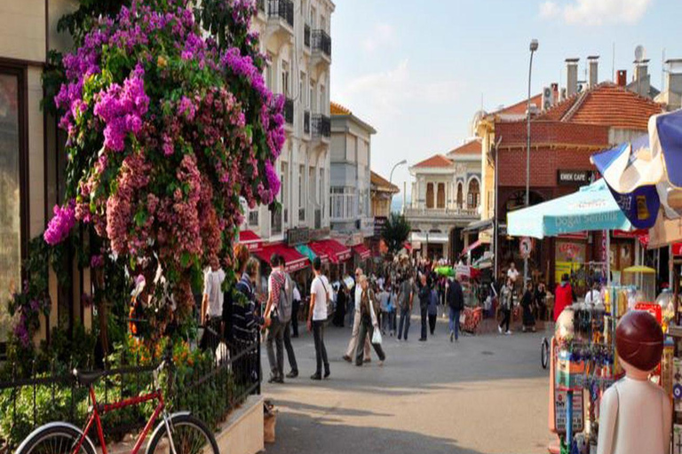 Från Istanbul: Tur till Prinsöarna med lunch