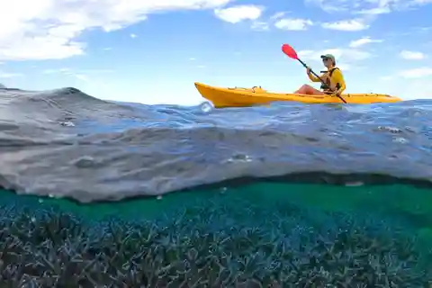 Exmouth Tour de medio día en kayak por el Coral