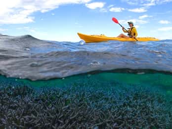 Exmouth: Half Day Coral by Kayak tour