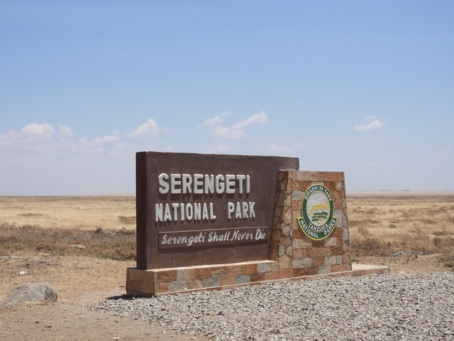 4 Days in the African Wilderness, A Safari to Remember