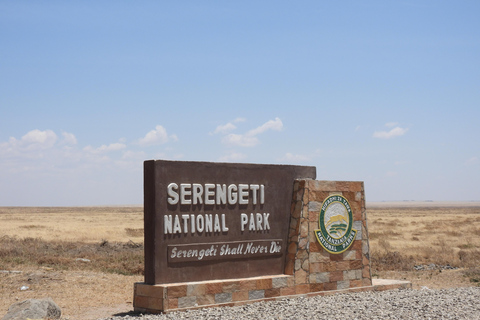 4 Days in the African Wilderness, A Safari to Remember