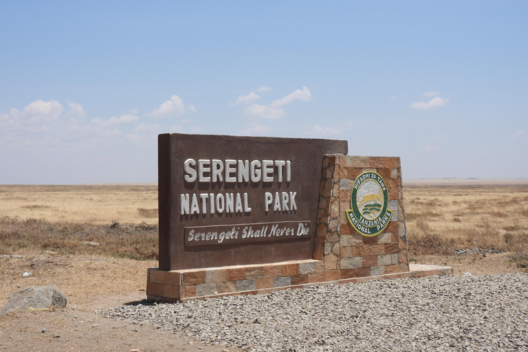 4 Days in the African Wilderness, A Safari to Remember