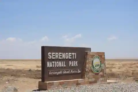 5 días de éxtasis en un safari: testigo de las maravillas de la naturaleza