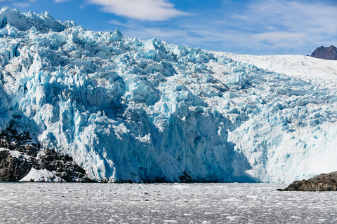 Seward: Kenai Fjords National Park Glacier Cruise w/ Lunch 8:00 AM Departure