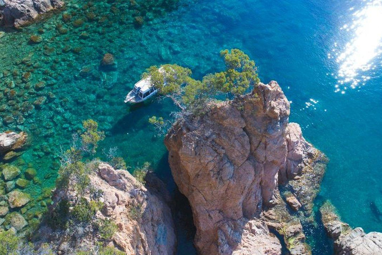 From Barcelona: Tossa de Mar Day Trip with Small Group