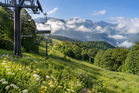 From Tokyo: Hakuba Happo Pond Summer Trek & Onsen