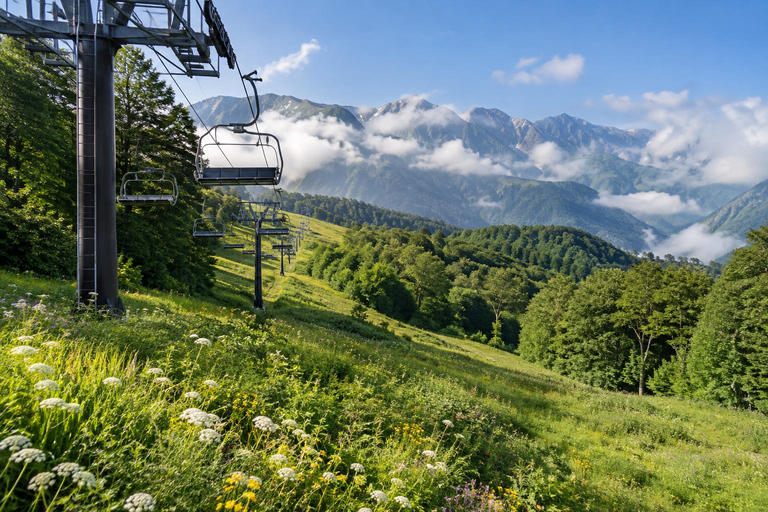 From Tokyo: Hakuba Happo Pond Summer Trek & Onsen