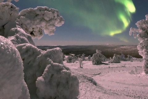 Kittilä: Northern Lights Sled Ride with Snowmobile