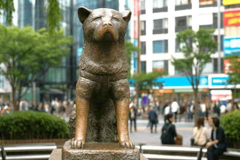 This is Real TOKYO!! SHIBUYA Tour from TGP!!