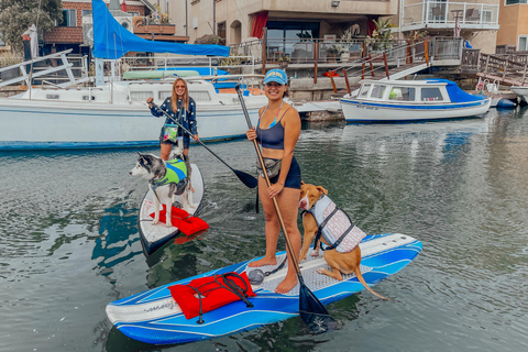 Huntington Beach: Paddleboard-Verleih