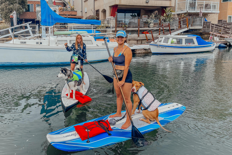 Huntington Beach: Wypożyczalnia desek wiosłowych