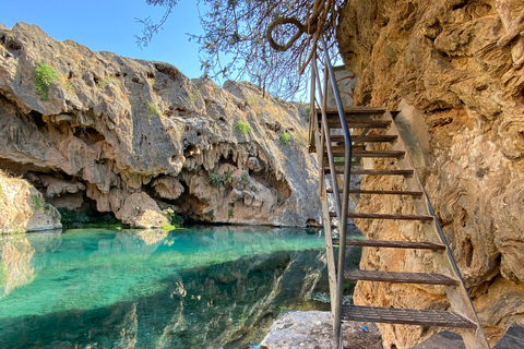 Salalah Local Life Tour: Camels, Coast & Natural Wonders