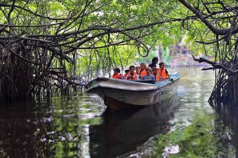 Sri Lanka: 8-Day Women's Serene Cultural & Coastal Escape