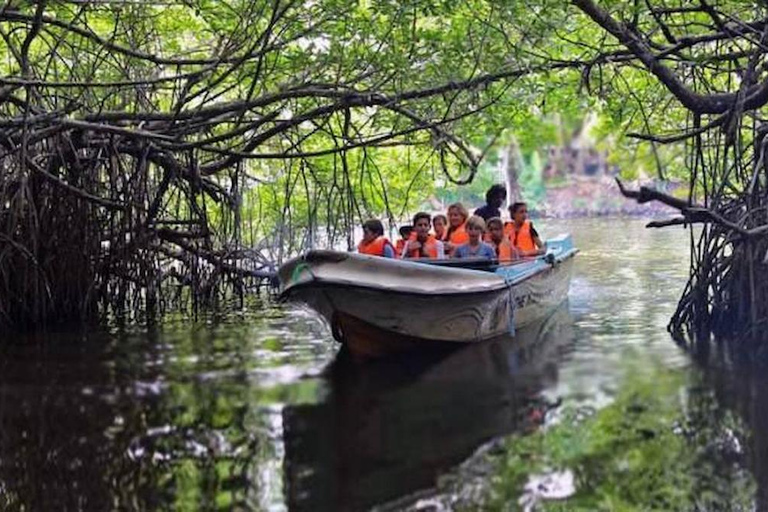 Sri Lanka: 8-Day Women's Serene Cultural & Coastal Escape