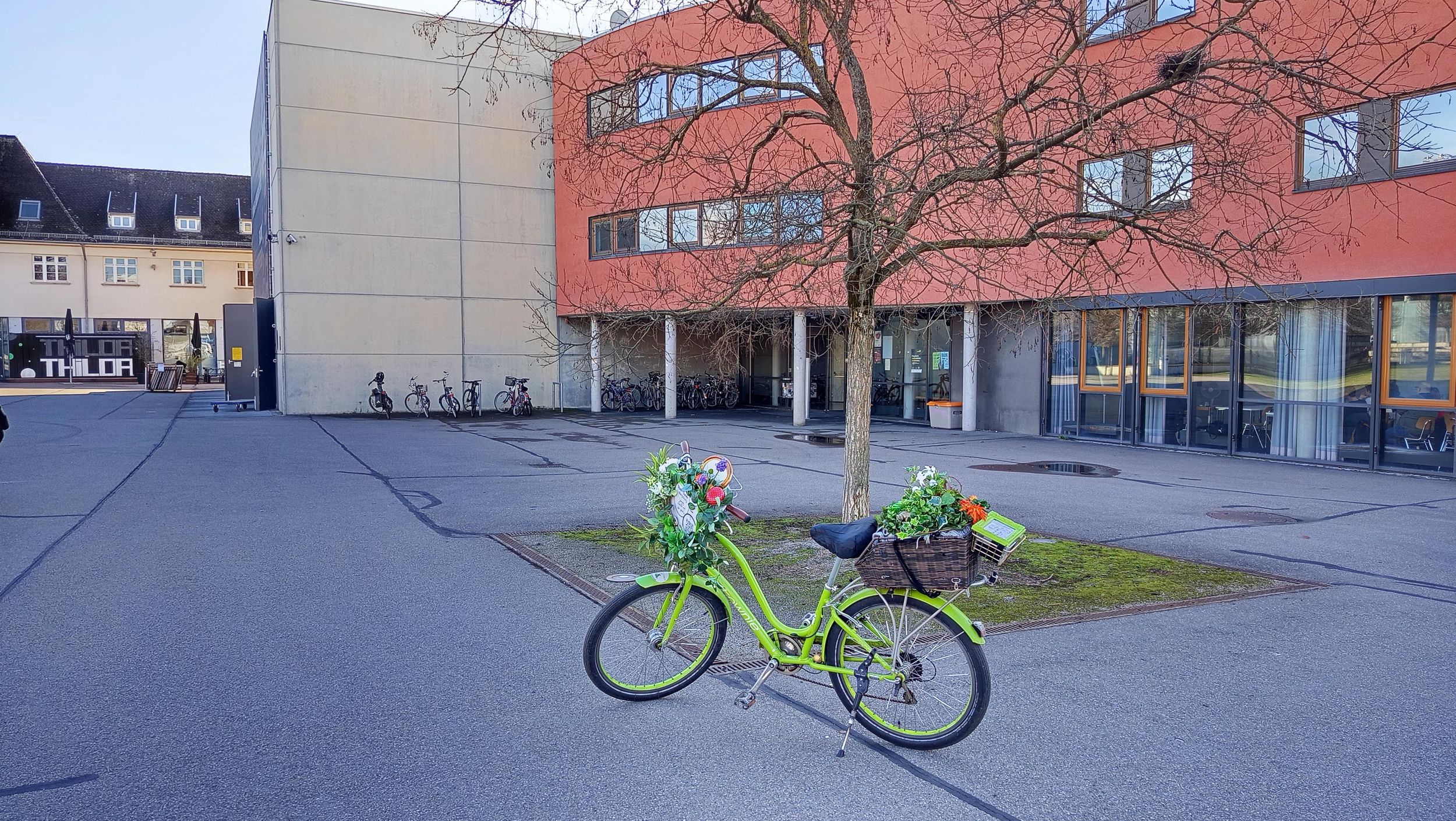 Bader, Ärzte, Apotheker - eine heilsame Erlebnis-Tour durch Ludwigsburg
