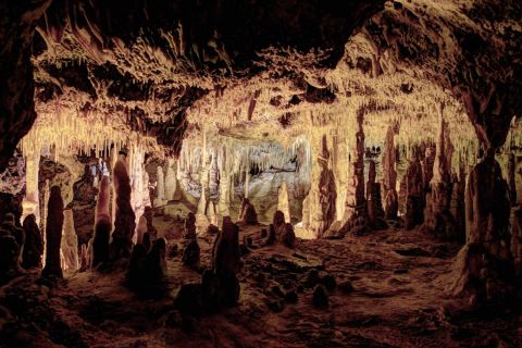Mallorca: Half Day Tour Hams Caves and Pearl Shop