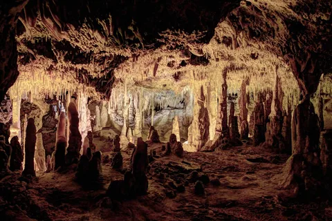 Mallorca: Half-Day Hams' Caves Tour with Pearl Shop Visit