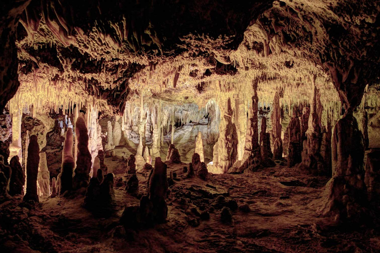 Maiorca: Escursione alle grotte di Drach, al lago Martel e alla fabbrica di perleTour di mezza giornata