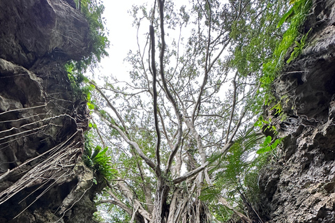 Okinawa Driving Tour with Expert Local Guide