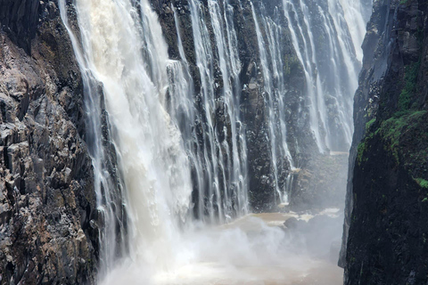 Victoria Falls Zimbabwe: Mosi-oa-Tunya Walk with Local Guide