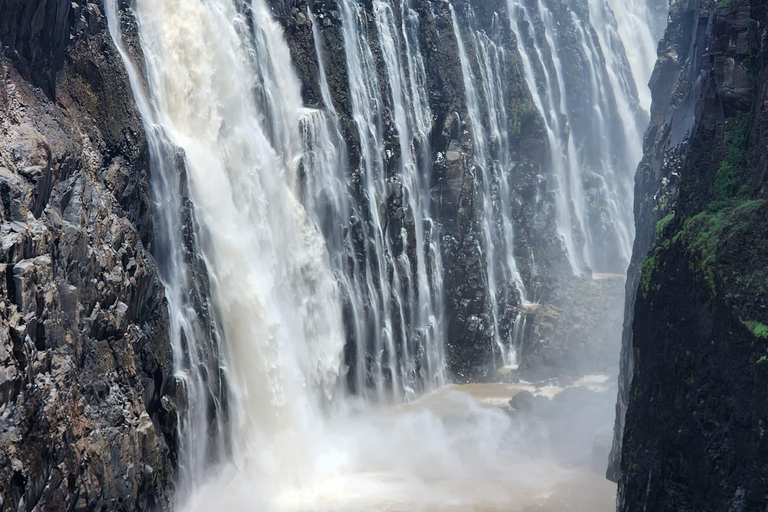 Victoria Falls Zimbabwe: Mosi-oa-Tunya Walk with Local Guide