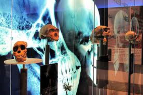 From Johannesburg: Cradle of Humankind & Lesedi Village Tour