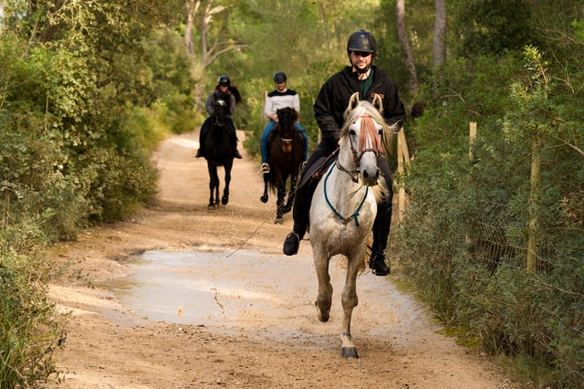 Mallorca: Authentic Horseback Ride in Rural Mallorca