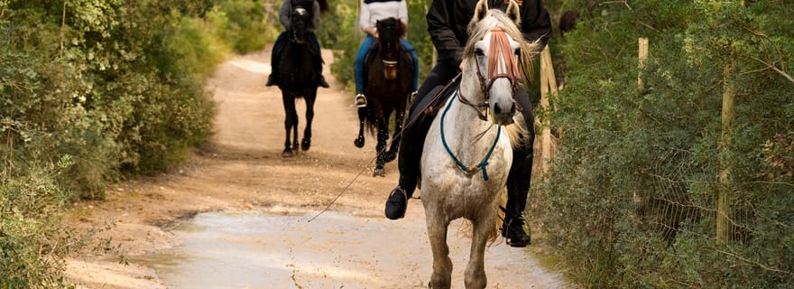 Majorque : Activité avec des chevaux, Antique Mallorca