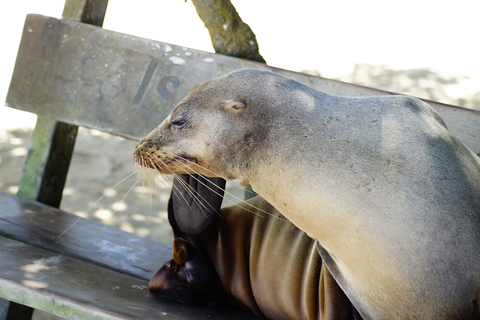 Isola delle Galapagos; tour naturalistico
