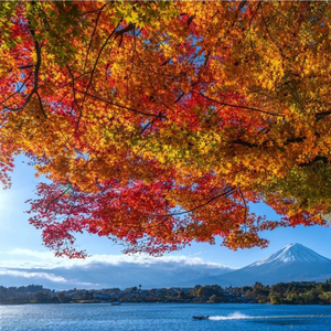 Tokyo: Full-Day Tour of the Six Majestic Spots of Mt Fuji