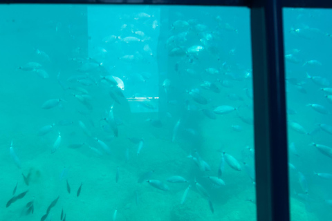 Kolymbia: Turtley Submarine Cruise with Swim Stops & Drink