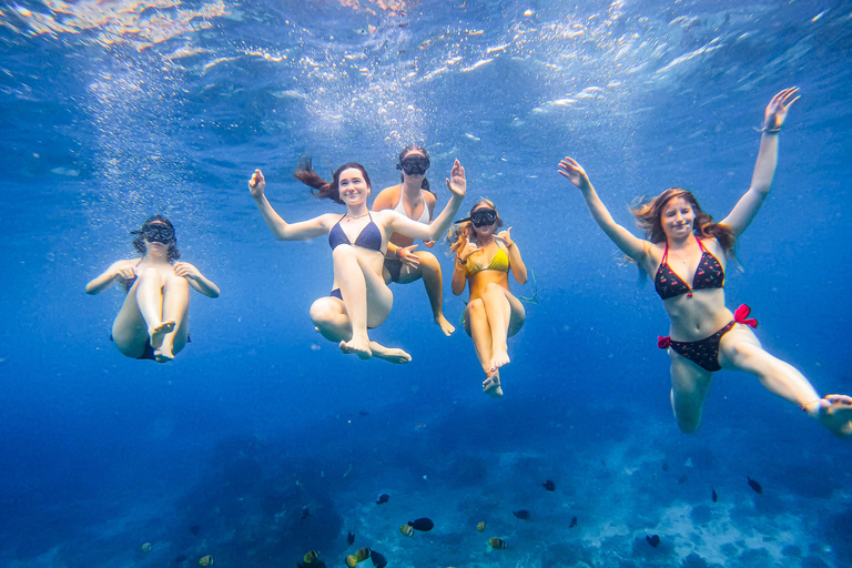 Nusa Penida: Snorkeling Adventure 3-Spots with Manta Rays Nusa Penida: Snorkeling Manta Point 3-Spots with Manta Rays