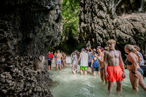 Phi Phi Un día en lancha rápida a Maya Bay con snorkel