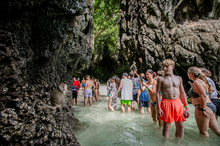 Phi Phi: Um dia de lancha rápida para Maya Bay com snorkelingPhi Phi: Lancha rápida de um dia para Maya Bay com mergulho com snorkel