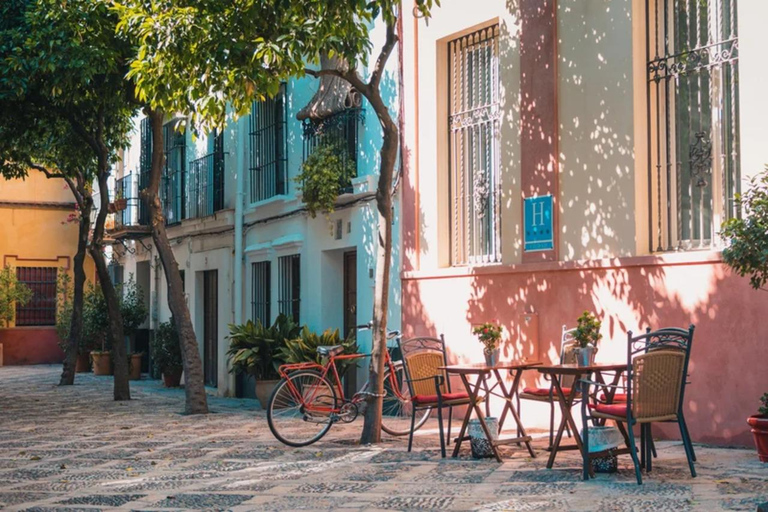Malaga: Day trip to Seville with a visit to the Cathedral From Estepona: English Tour