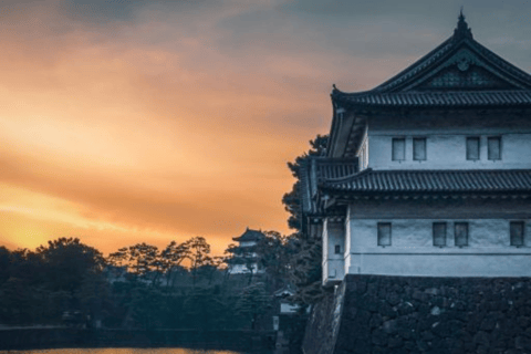 Tokyo : Visite d&#039;une jounée privée de la ville de Tokyo : lieux incontournables