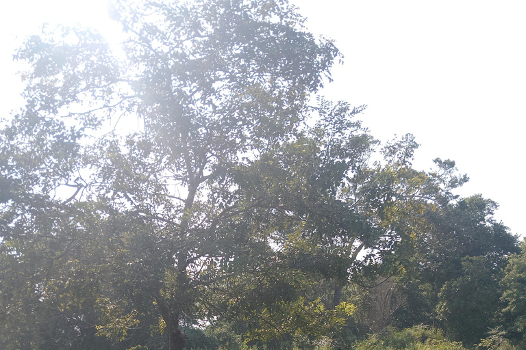 From Kandy: Sigiriya & Dambulla Day Tour with Safari