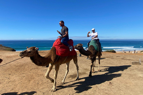 A partir de Sevilha: viagem de 2, 3 ou 4 dias ao Marrocos com ferry e guiaSevilha: viagem de 4 dias ao Marrocos