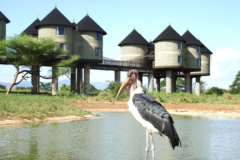 Salt Lick Safari Lodge: tour di 2 giorni da Nairobi o MombasaNairobi o Mombasa: tour di 2 giorni al Salt Lick Safari Lodge