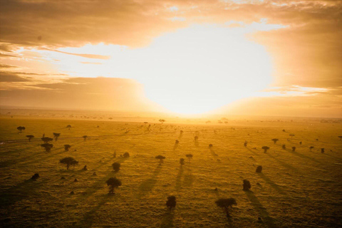 Arusha: Safari di 4 giorni al Lago Manyara, Serengeti e Ngorongoro