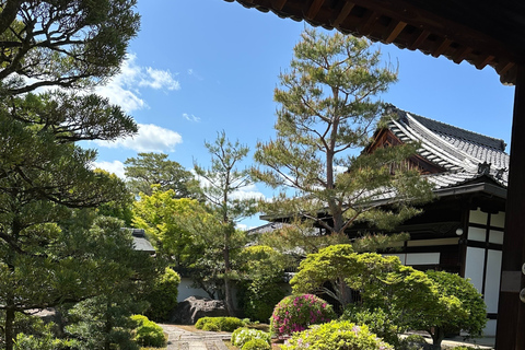 Kyoto Day Trip from Tokyo by Bullet Train Private Tour