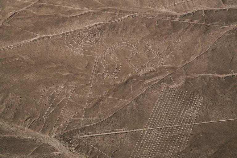 From Ica: Panoramic aerial experience over the Nazca geoglyphs