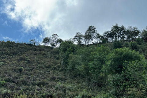 Jednodniowy trekking w Sapa: tarasy ryżowe i wioski etniczne