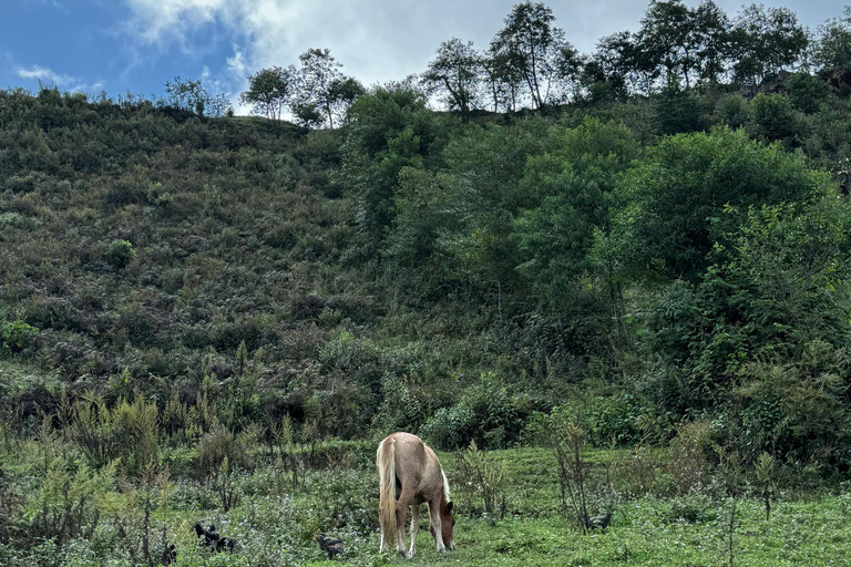 Sapa Eendaagse Trek: Rijstterrassen &amp; Etnische Dorpen