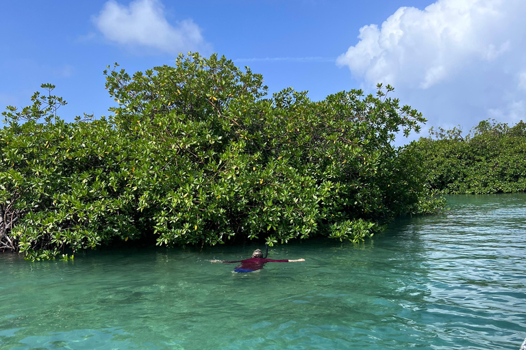 Gira 4 en 1 Portobelo, Cristo Negro, Venas Azules y Playa Blanca
