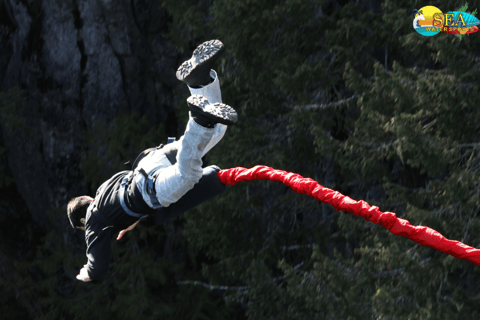 Saut à l'élastique à Goa