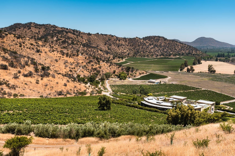 Viña Haras de Pirque Wine Experience