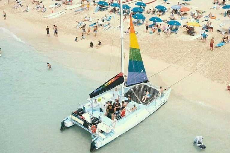 Waikiki: Excursão de mergulho com snorkel com tartarugas marinhas